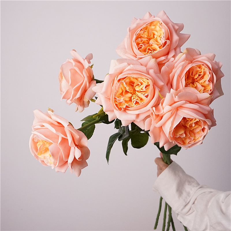 Photography Lighting Simulator Free - 3 stuks Hydraterende Rozen Simulatie Juliet