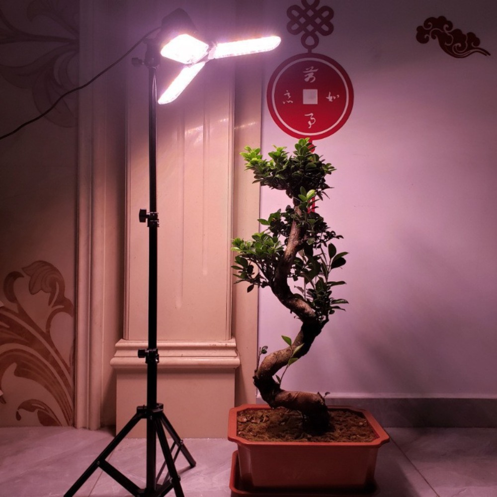 Gloeilampstandaard 2M, E27 AC- - Photography Lighting With Umbrella recensie en prijs
